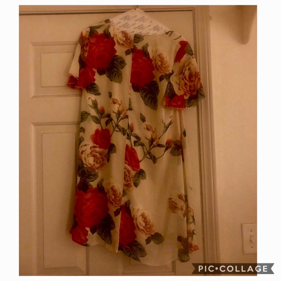 🚫SOLD🚫SMYM Kylie Mini Dress - Picture 2 of 4